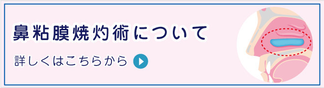 鼻粘膜焼灼術